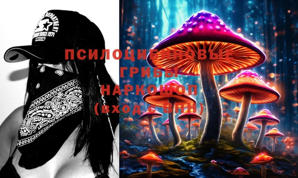сатива Алексеевка