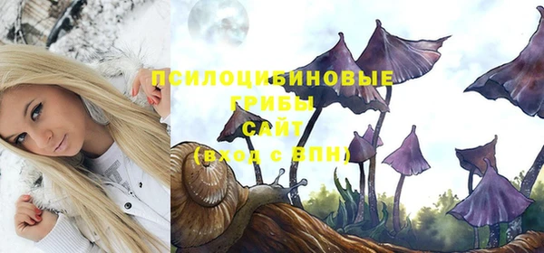 сатива Алексеевка